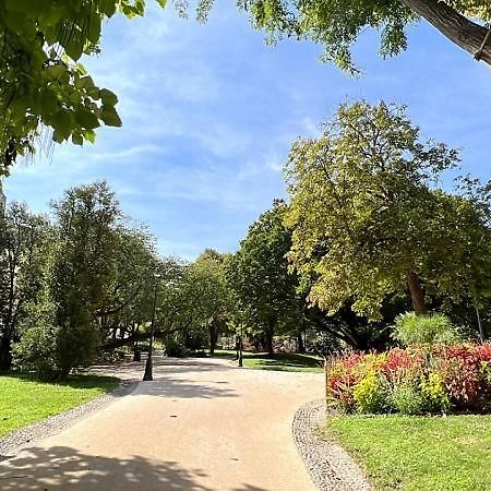 Appartement Calme En Plein Centre Ville Sète Eksteriør billede